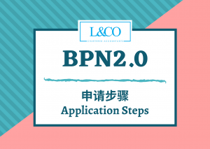 BPN2.0 申请步骤